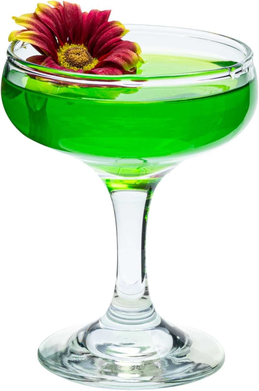 Vikko Cocktail Coupe Glasses Set of 12 5.2 Ounce