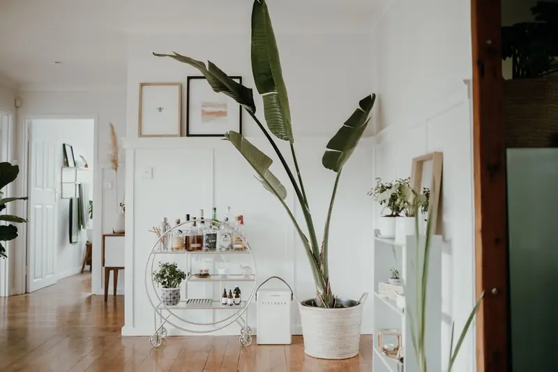 Cozy minimalist room featuring a stylish bar cart and lush plant for added elegance